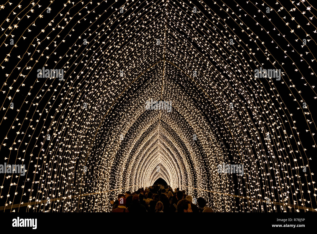 Kew Gardens, London - December 6 2018 Cathedral of Light for Christmas Stock Photo