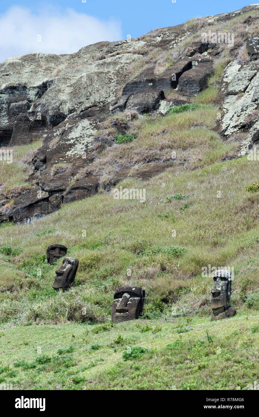 Moais on the flanks of Rano Raraku volcano, Unesco World Heritage, Rapa Nui National Park, Easter Island, Chile Stock Photo