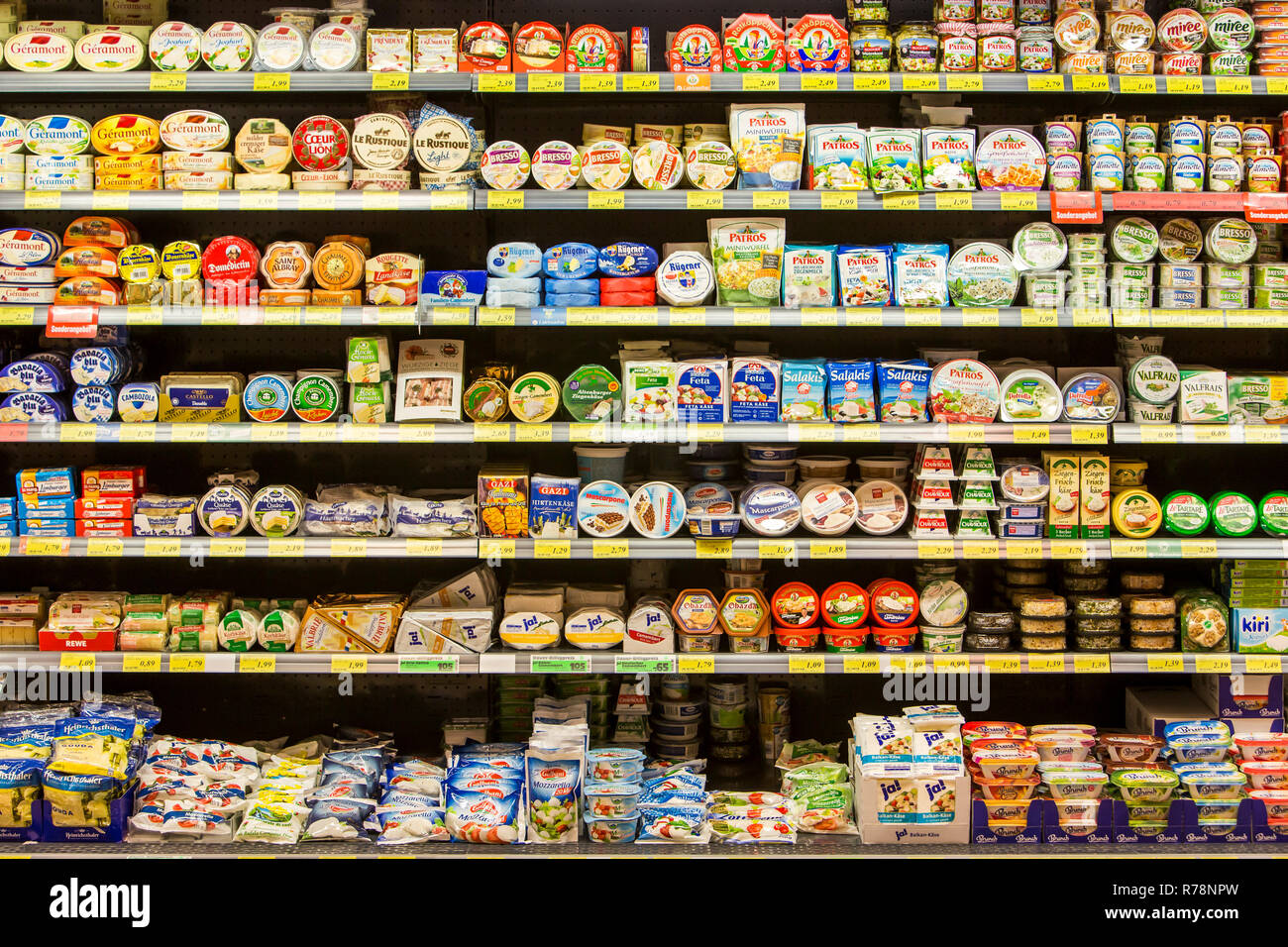 Refrigerated shelf with various dairy products, supermarket, Germany