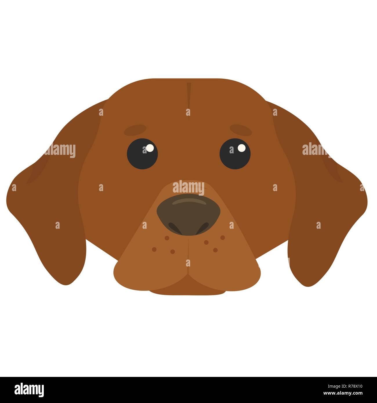 brown dog head vector drawing portrait Stock Vector Image & Art - Alamy