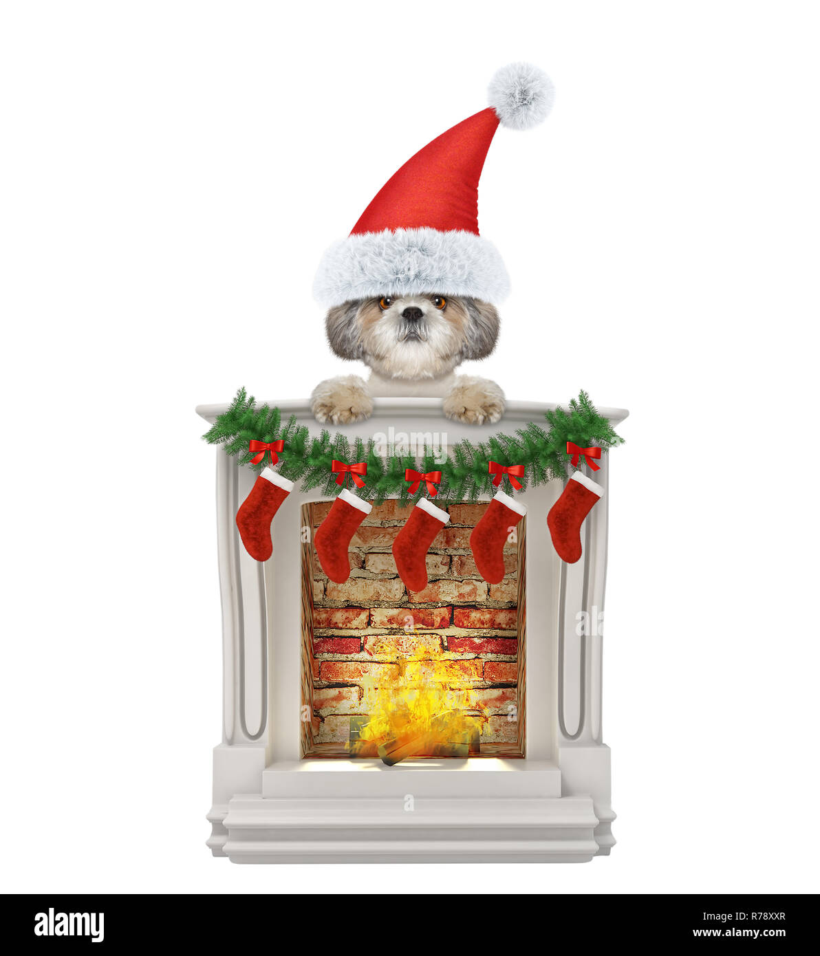 Shitzu santa dog near fireplace. Isolated on white background Stock Photo
