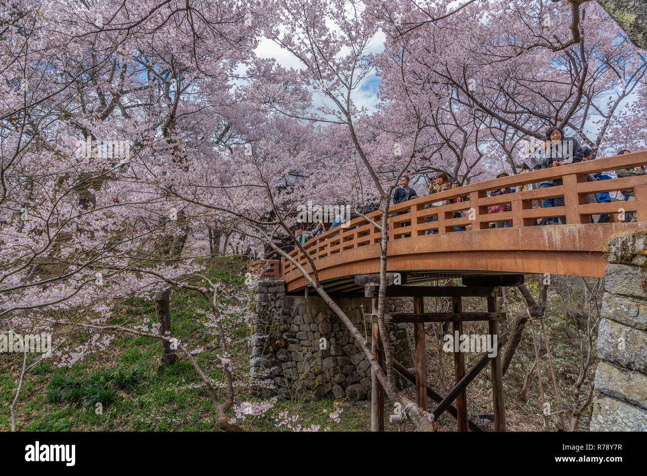 Takato castle ruin park hires stock photography and images Alamy