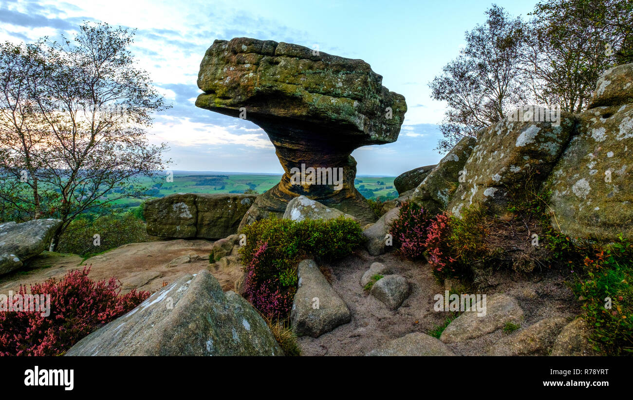 The Druid's Writing Desk at Brimham Rocks, North Yorkshire Stock Photo