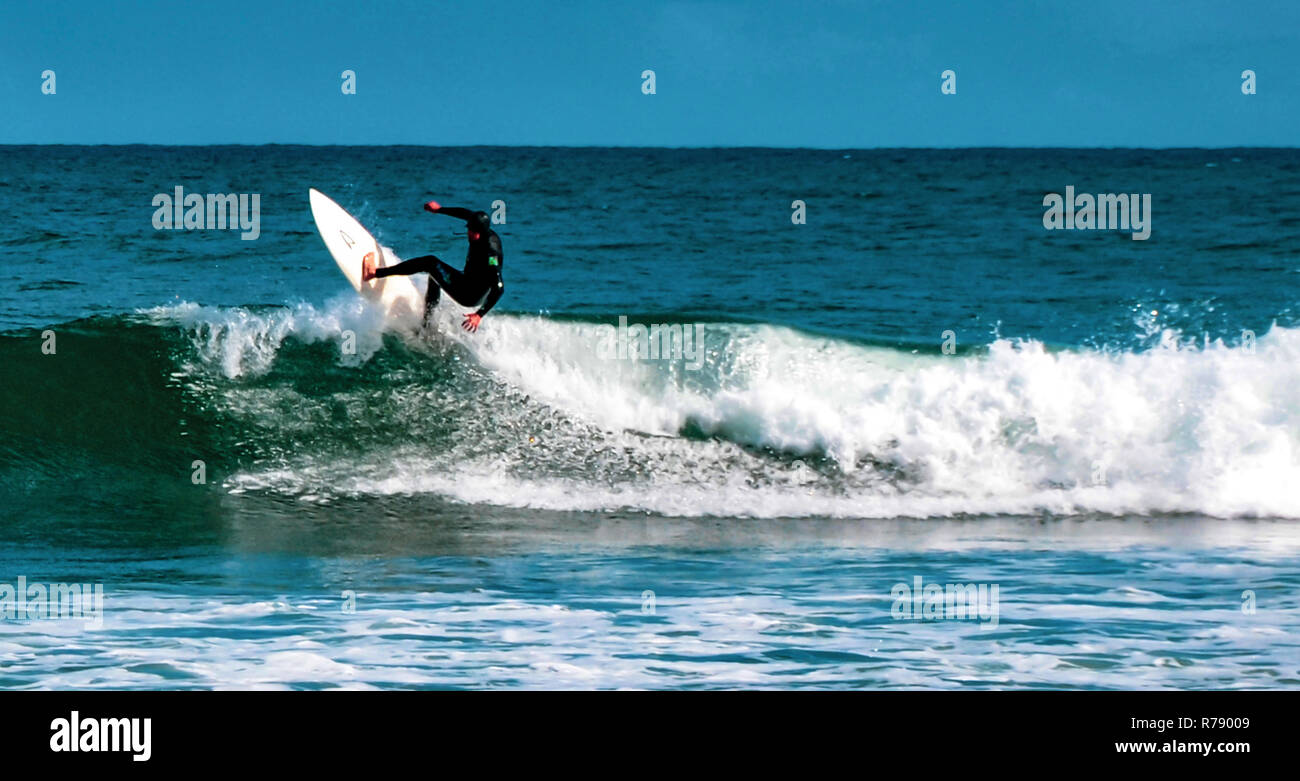 Surfing at Venice Beach, Los Angeles, California Stock Photo Alamy