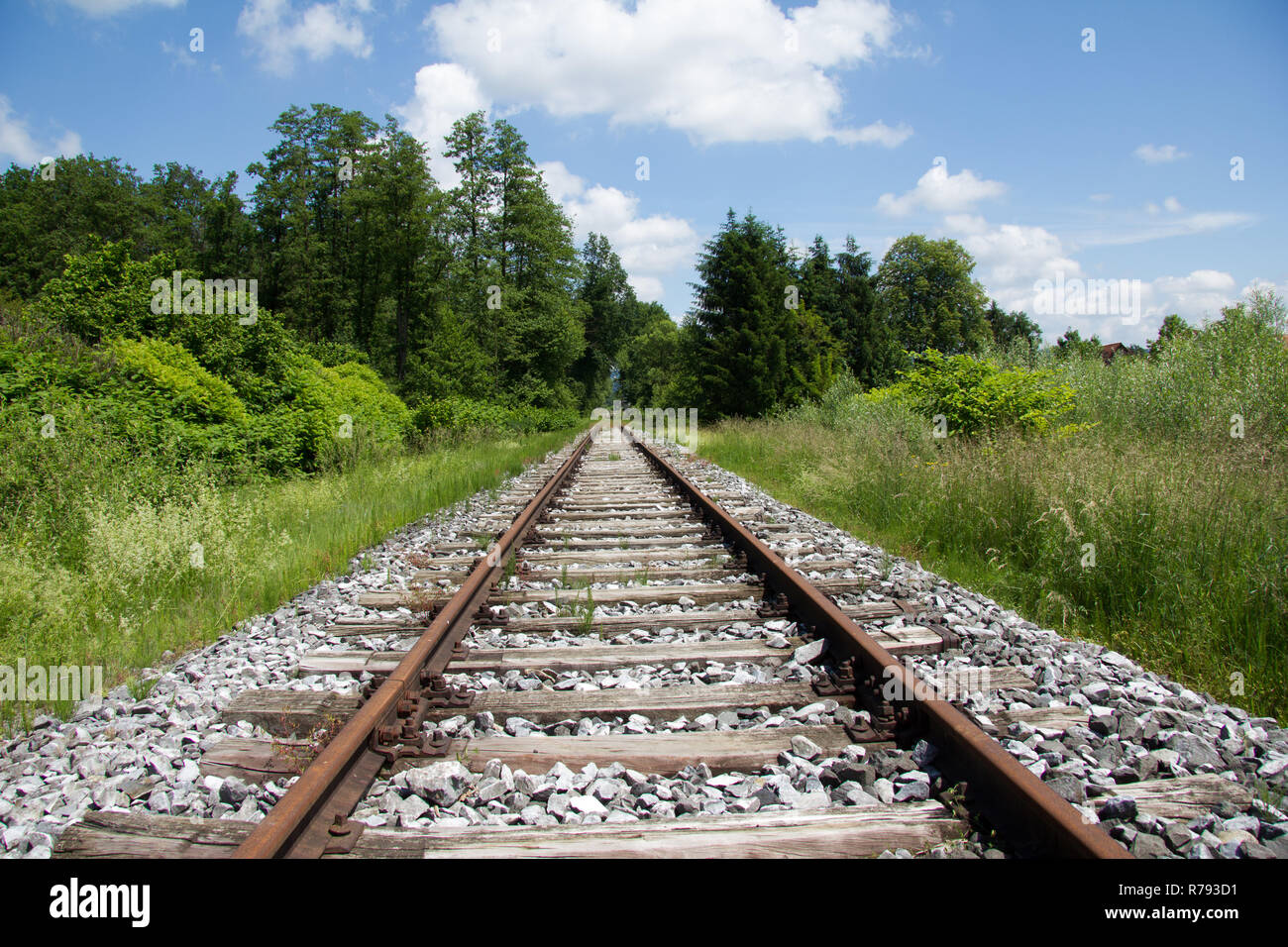 railroad tracks lead through grass landscape and forest landscape in spring day with blue sky and a few clouds