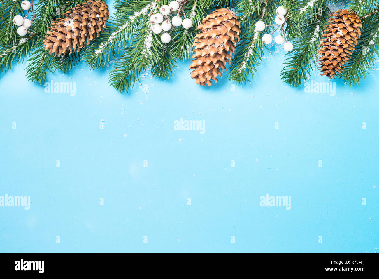 Snow Fir tree branch and cones on blue background Stock Photo - Alamy