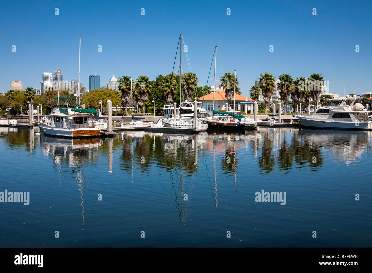 Marjorie Park Yacht Basin with Tampa skyline in back, Tampa, Florida Stock Photo