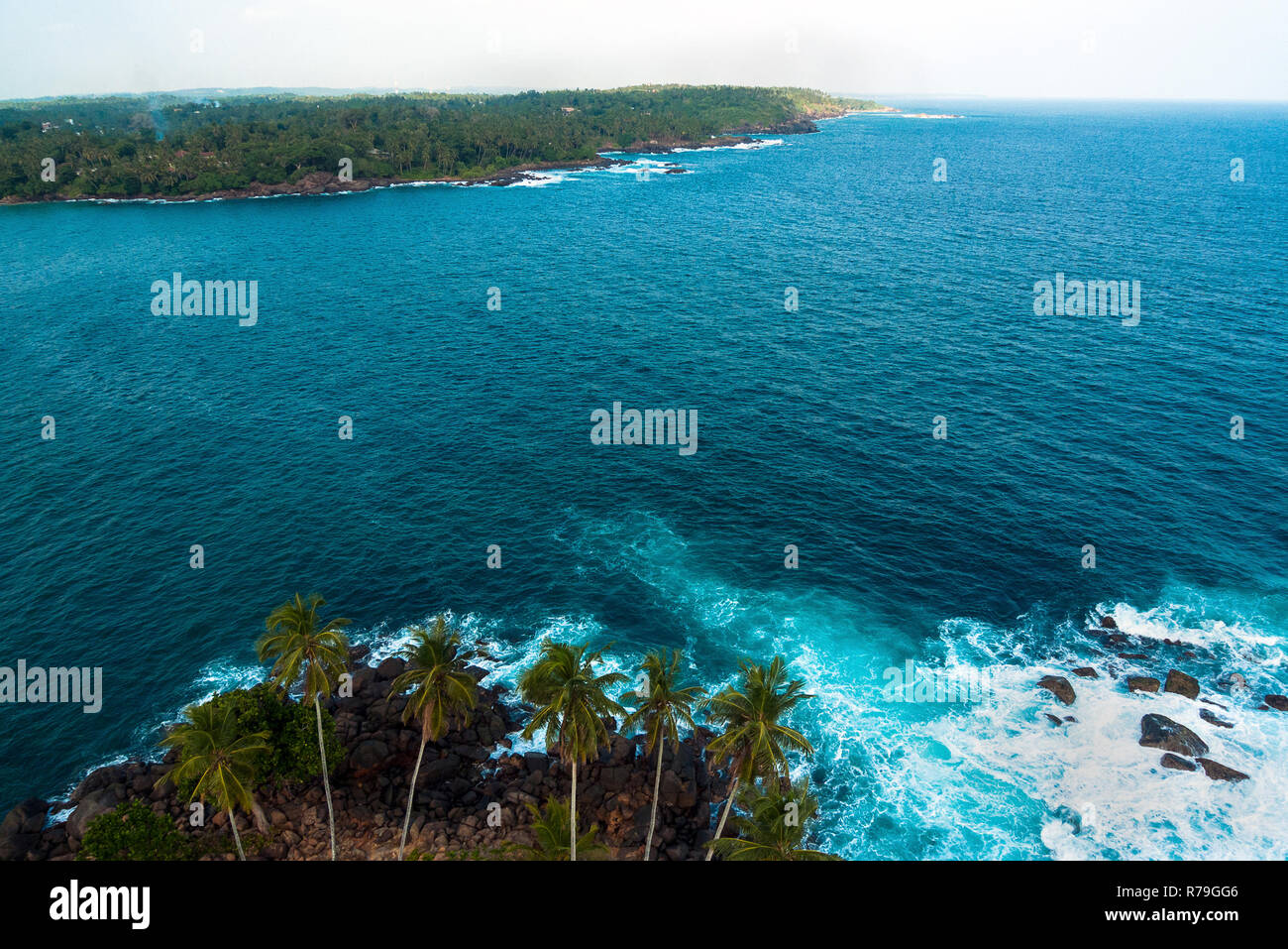 Sri Lanka, Dondra, 02/10/2014: a group of palm trees on the bay of Dondra photographed from the top of lighthouse Stock Photo
