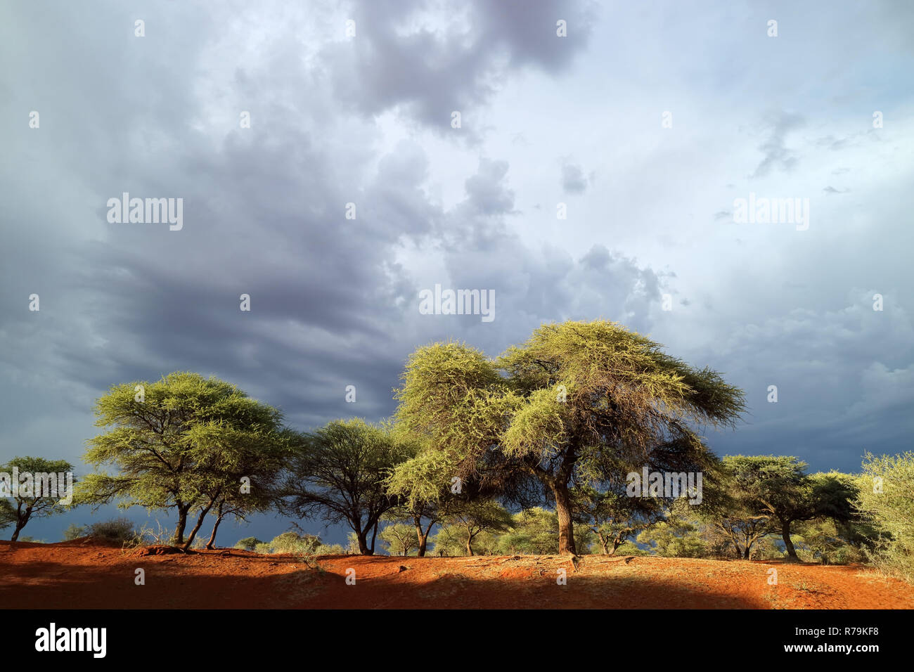 African landscape against a stormy sky Stock Photo