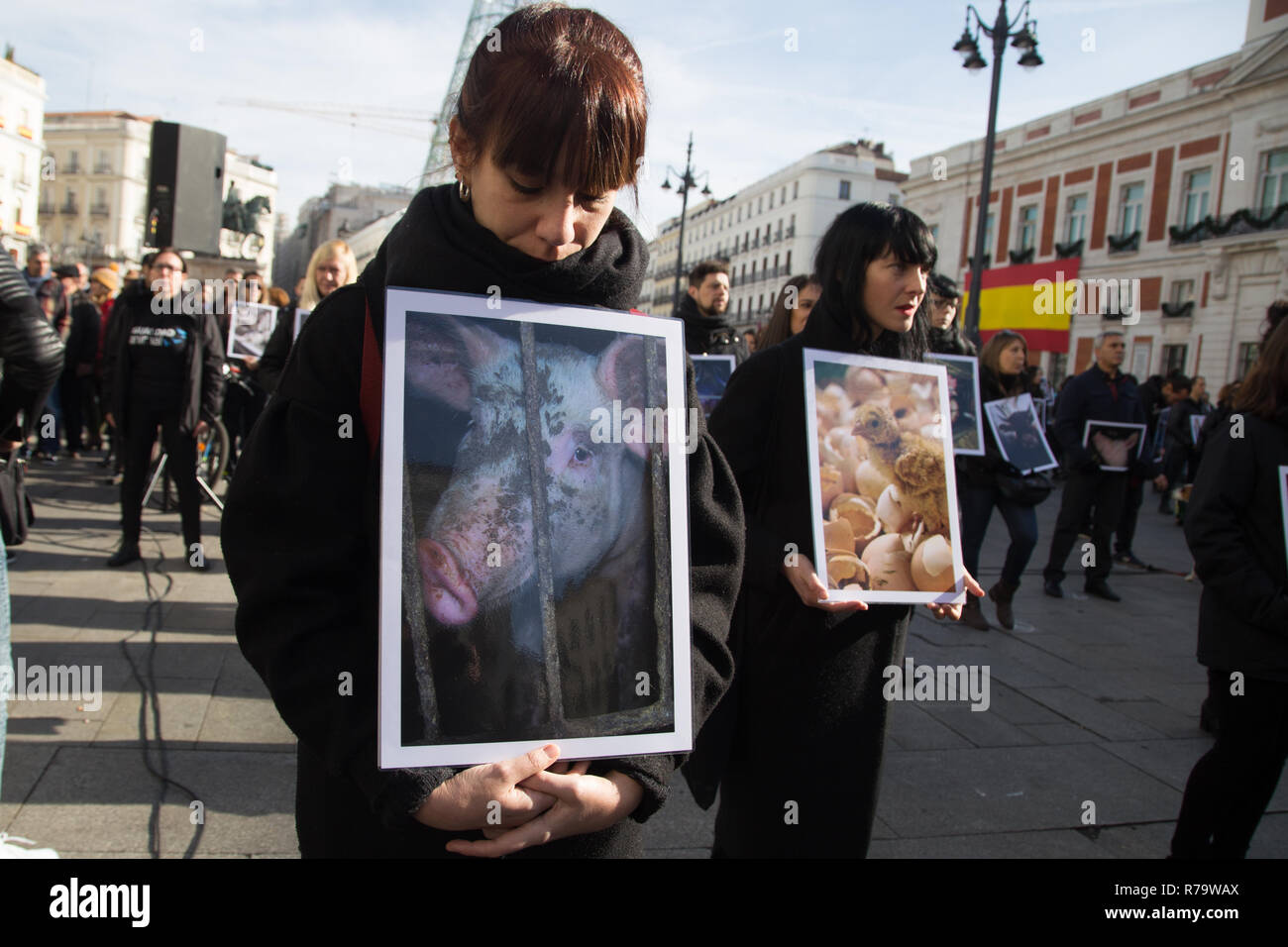 Activist seen lamenting the situation of the animals that have suffered cruelty and violence on the farms during the performance. Hundreds of people have organized a performance with photos and three dead animals, a pig and two chickens, the situation, animal cruelty and torture to death of animals on farms to also raise awareness of their passage to a vegan society that respects the animals. Stock Photo
