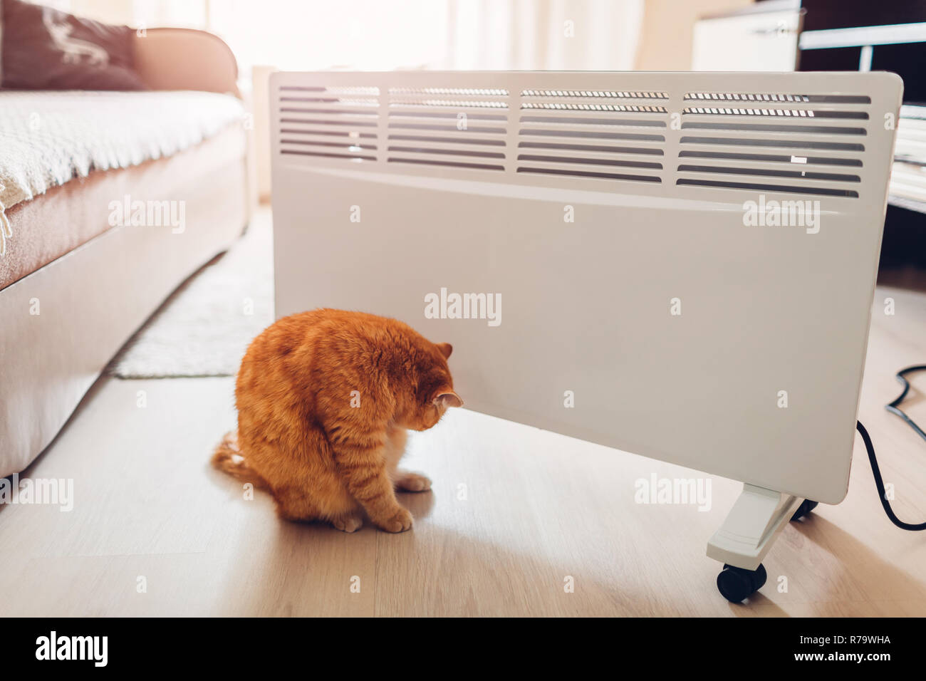 Using heater at home. Heating season. Cat warming sitting by device in