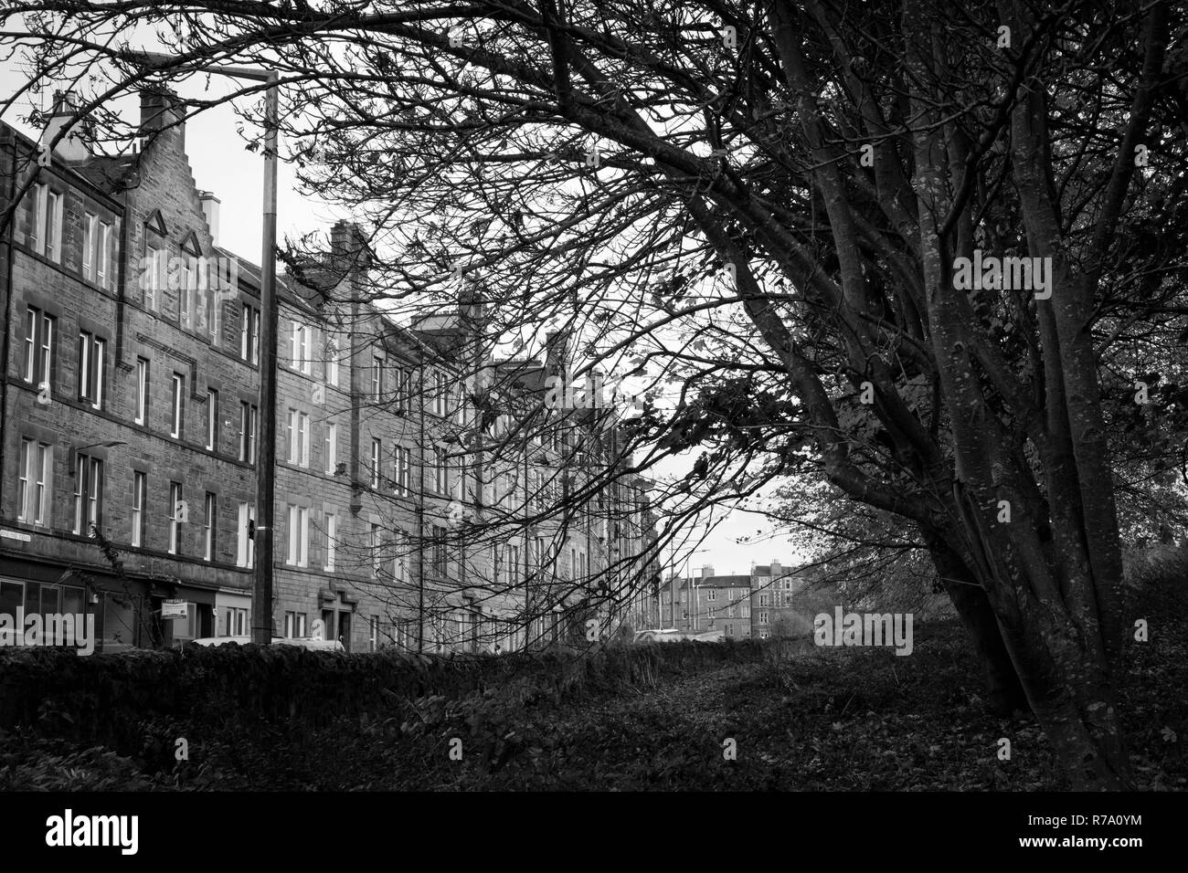 Traditional tenement housing in Royal Park Terrace, Edinburgh, Scotland