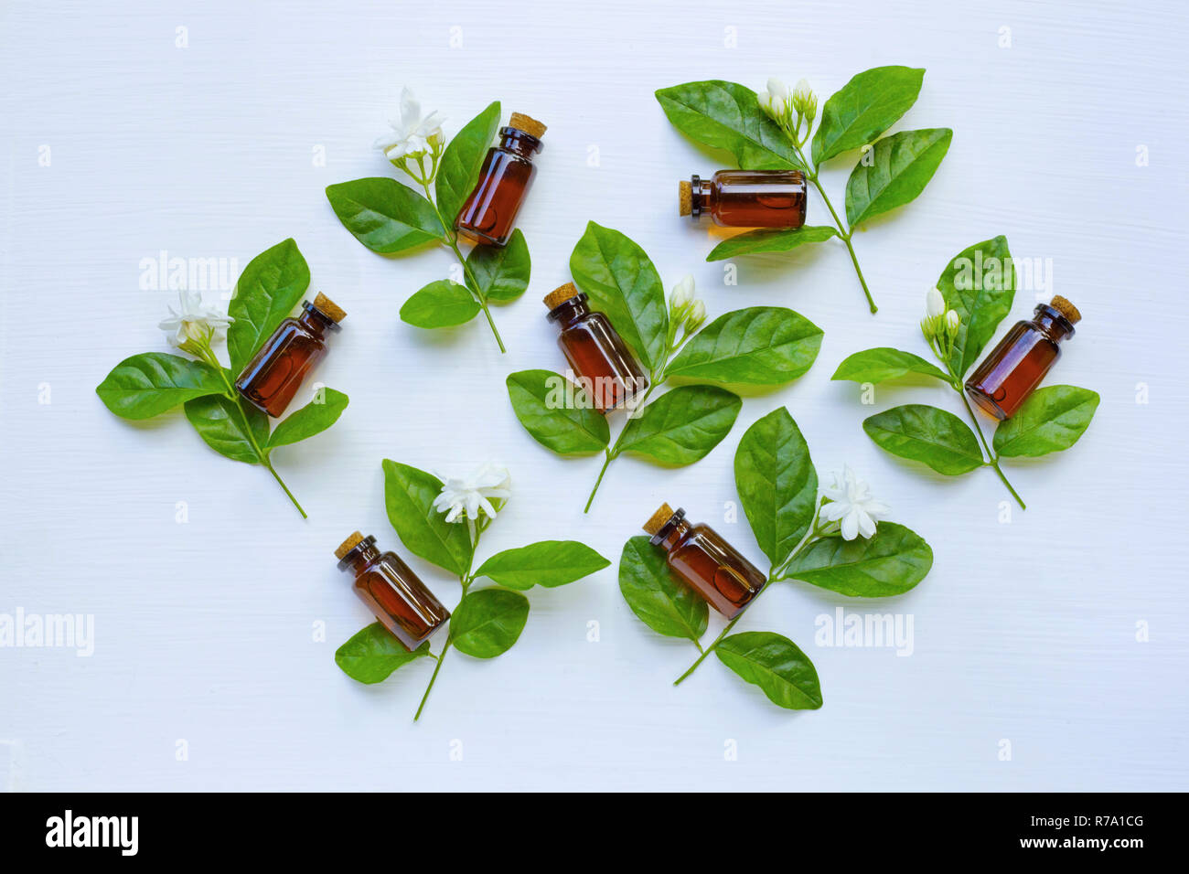 Bottle of essential oil with jasmine flower and leaves Stock Photo Alamy