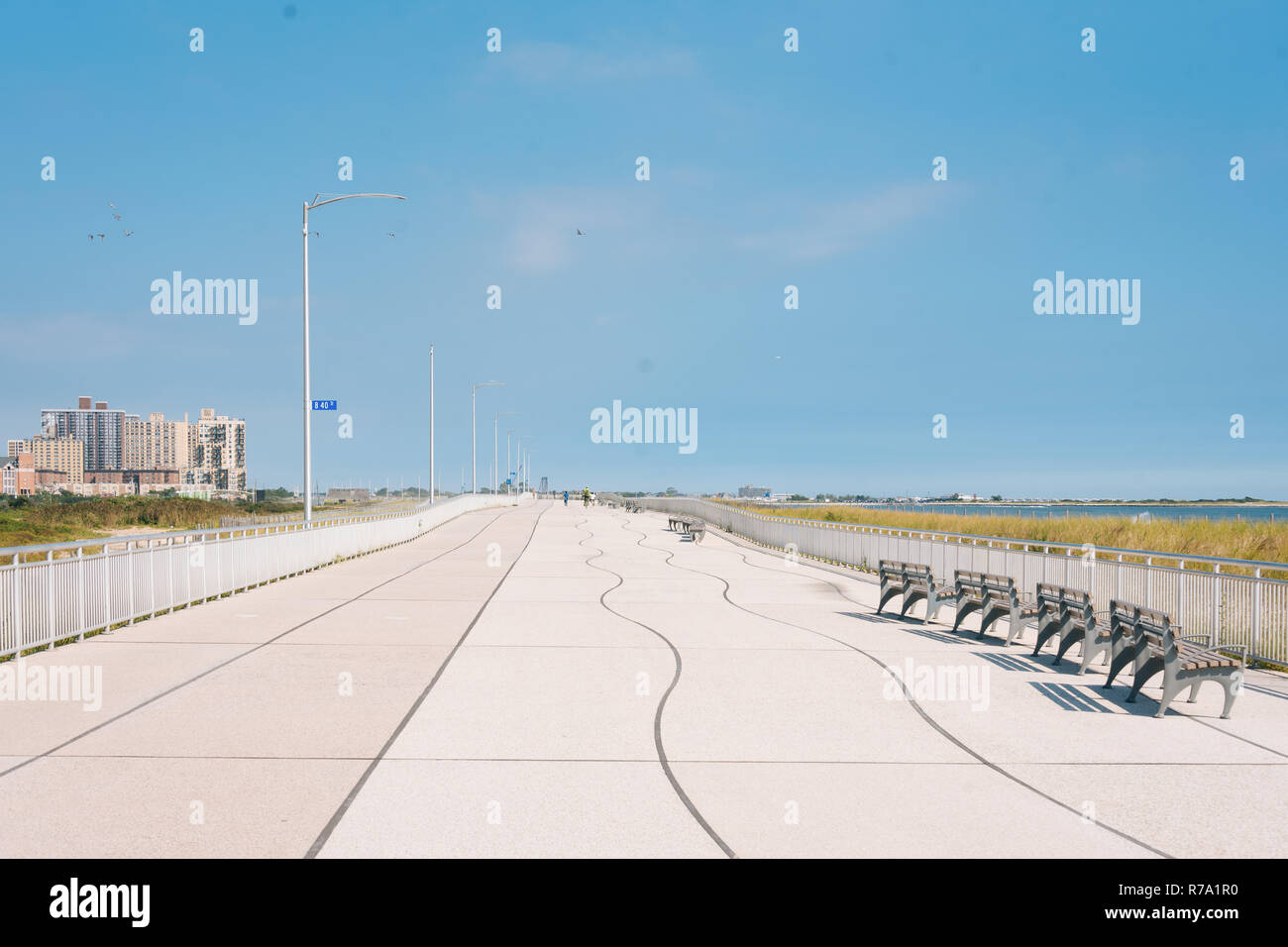 Are Dogs Allowed In Rockaway Beach Boardwalk