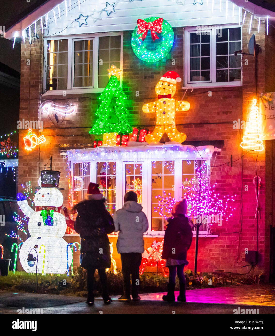 Members of the public enjoy the 'Stone Brig Lights' on Stone Brig Lane