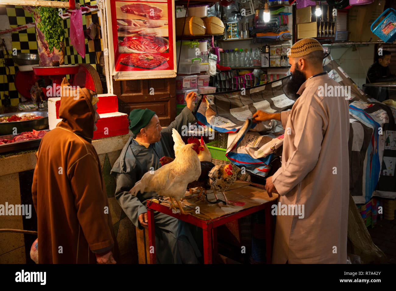 Morocco, Fes, Fes el Bali, Medina, Kasbah an-Nouar, live chickens for sale Stock Photo