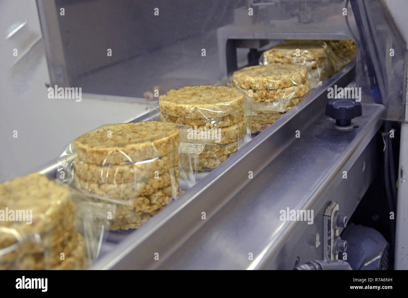 transportation from one process to another on food production line. Modern equipment food