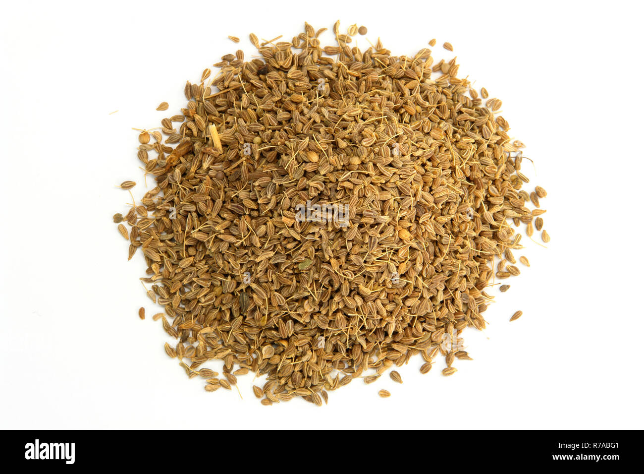 Anise Seed Stock Photo