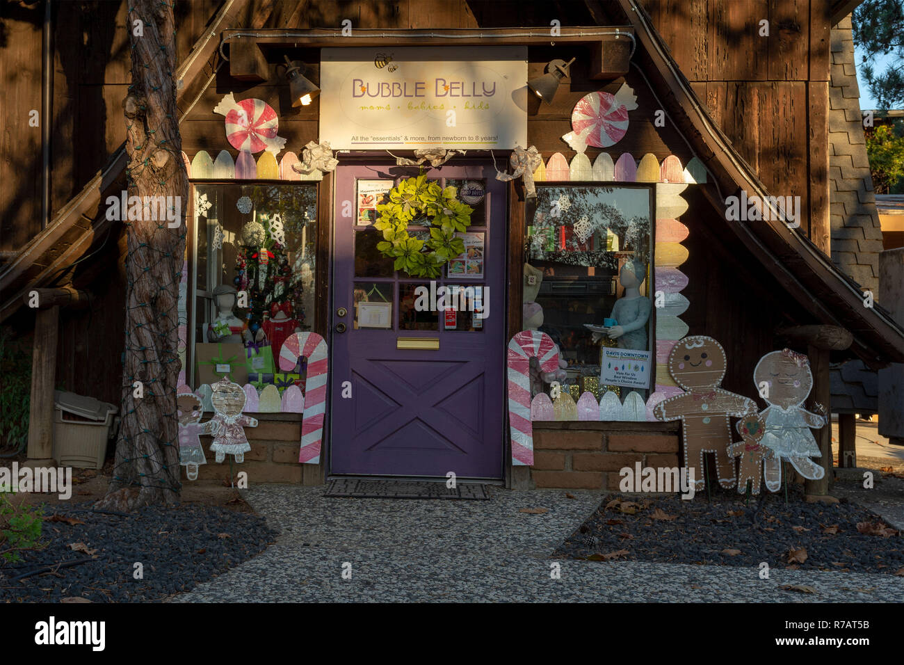Davis, California, USA. 8 December 2018. Beginning November 29, twenty-one (21) downtown businesses are competing for top honors for the Best Holiday Window Decoration. The contest will continue through December 16 with window decorations to be on display through Christmas Day. Credit: AlessandraRC/Alamy Live News     Stock Photo
