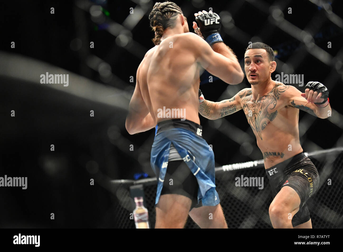 Free live stream ufc 231 best sale