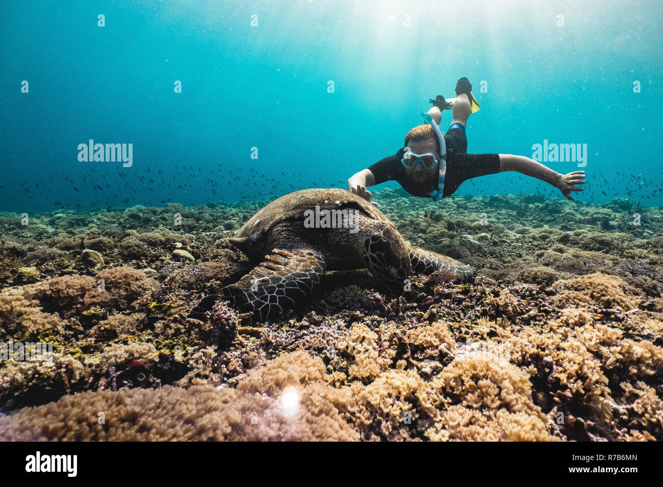 Freediver man with cute turtle Stock Photo