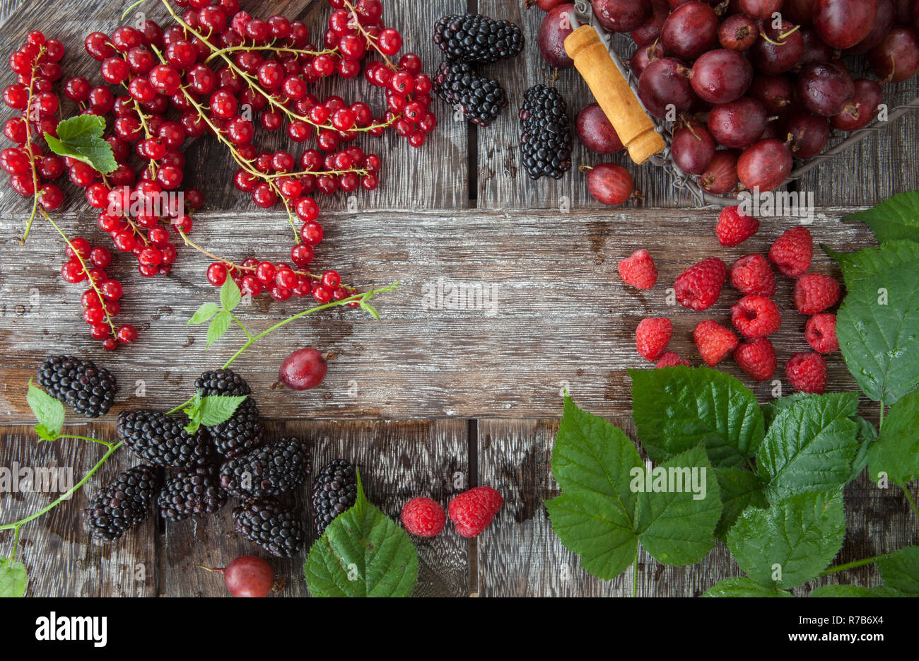 various fresh berries Stock Photo