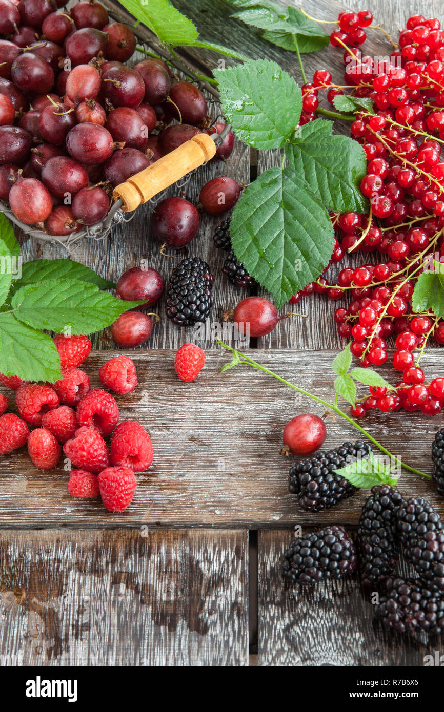 various fresh berries Stock Photo