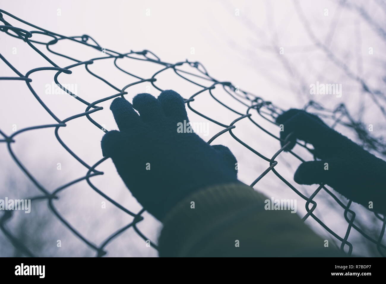 Gloved Hands on Wire Fence on an Overcast Day Closeup Stock Photo