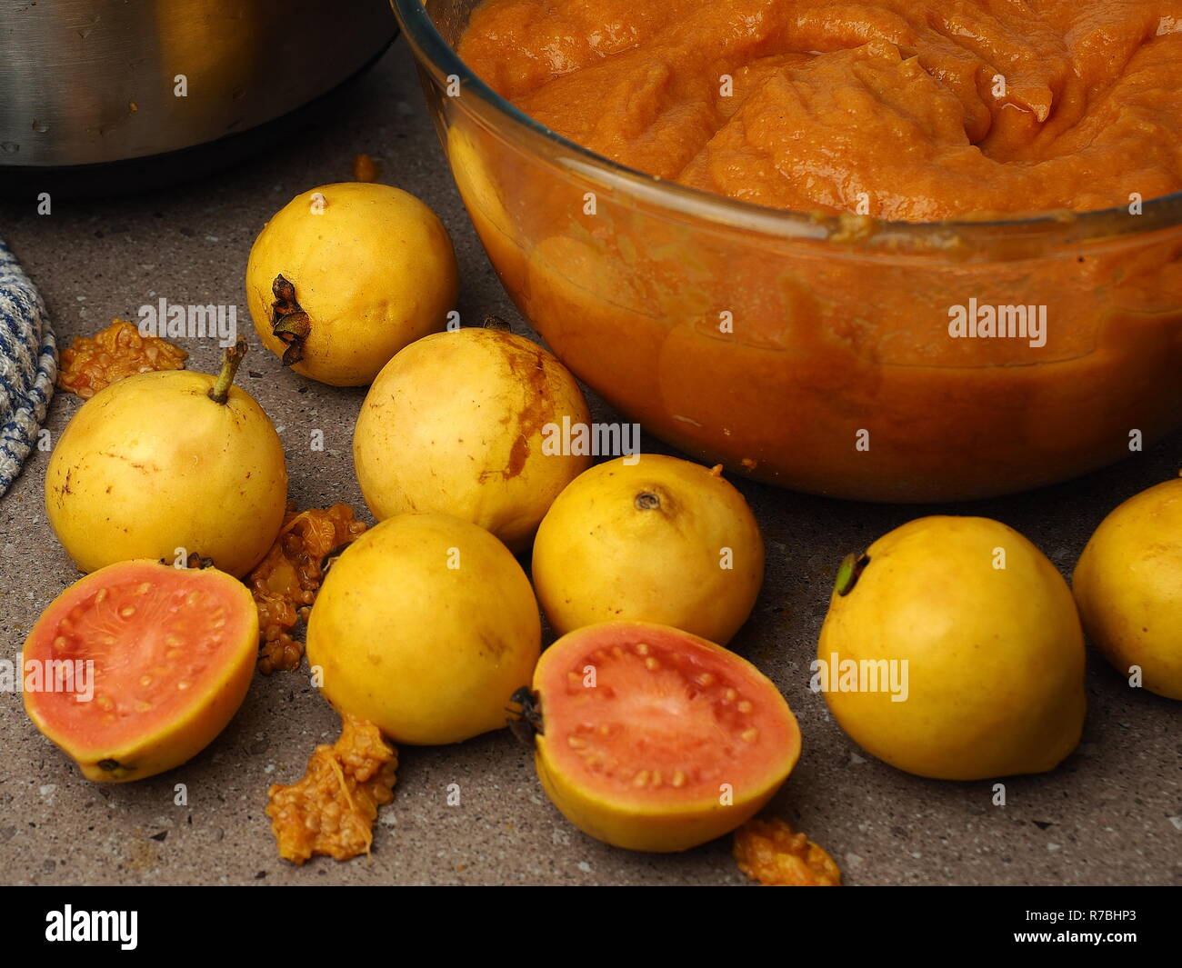 Guava fruit being processed in a country kitchen. Fresh, wild harvest fruit. Pink and yellow guava. Stock Photo