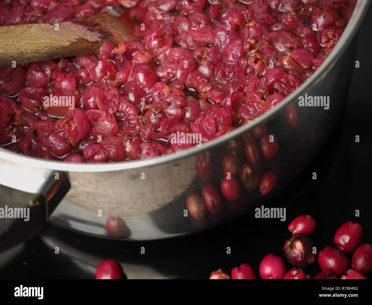 Australian bushtucker Lilly Pilly being made into Lilly Pilly jam. An Australian native wild fruit that is edible and beautiful. Stock Photo