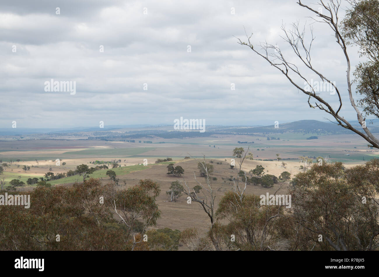 Australian farm and fields from a mountain lookout on Mount Gladstone