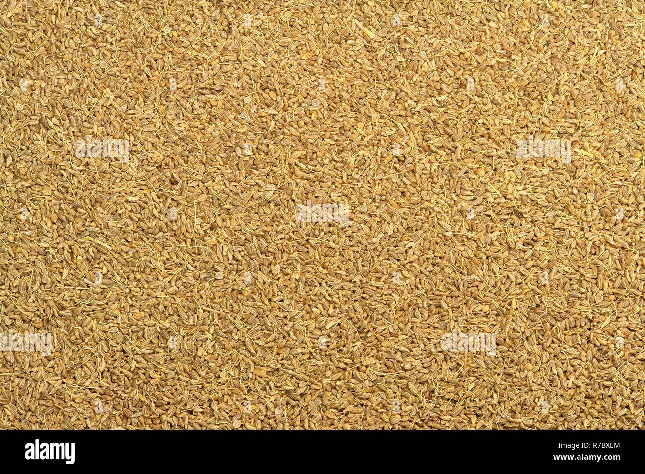 Anise Seed Texture Stock Photo