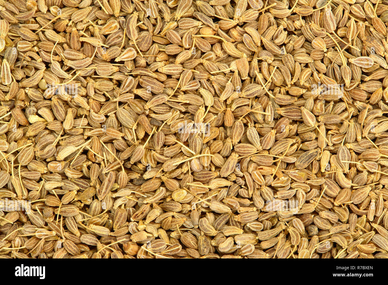 Anise Seed Texture Stock Photo