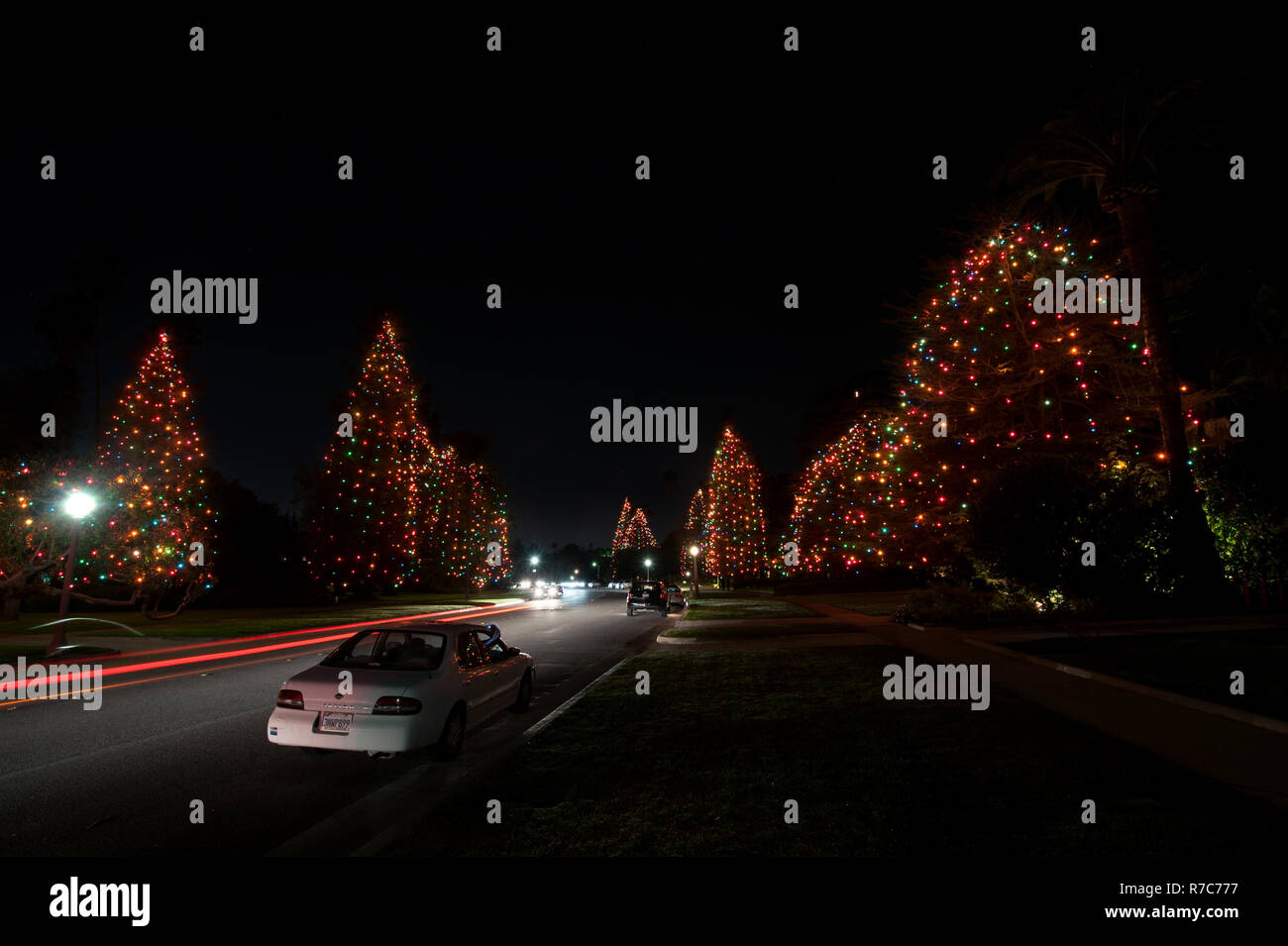 Christmas Tree Lane Stock Photo Alamy