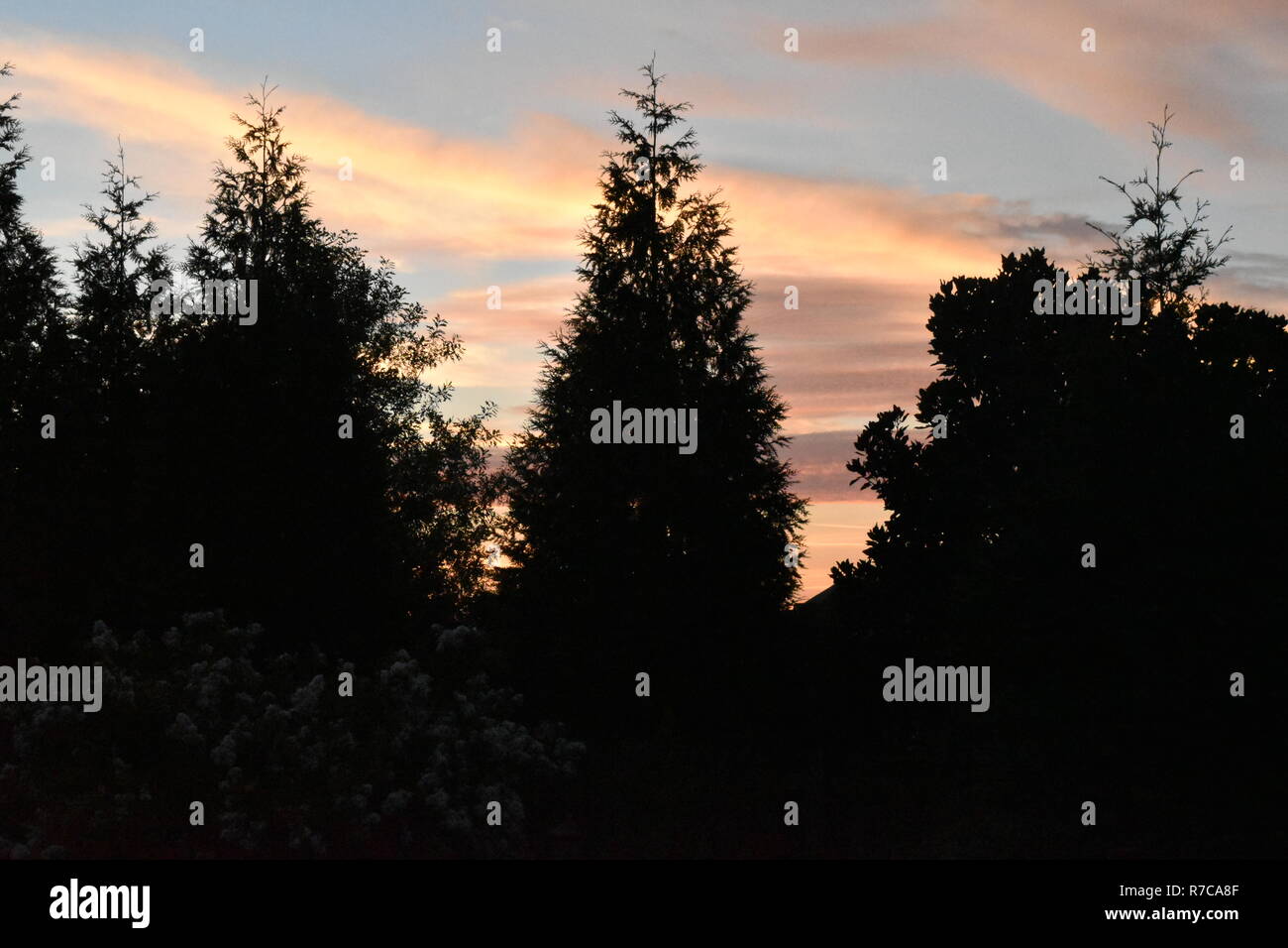 Sunrise in north Alabama. Stock Photo