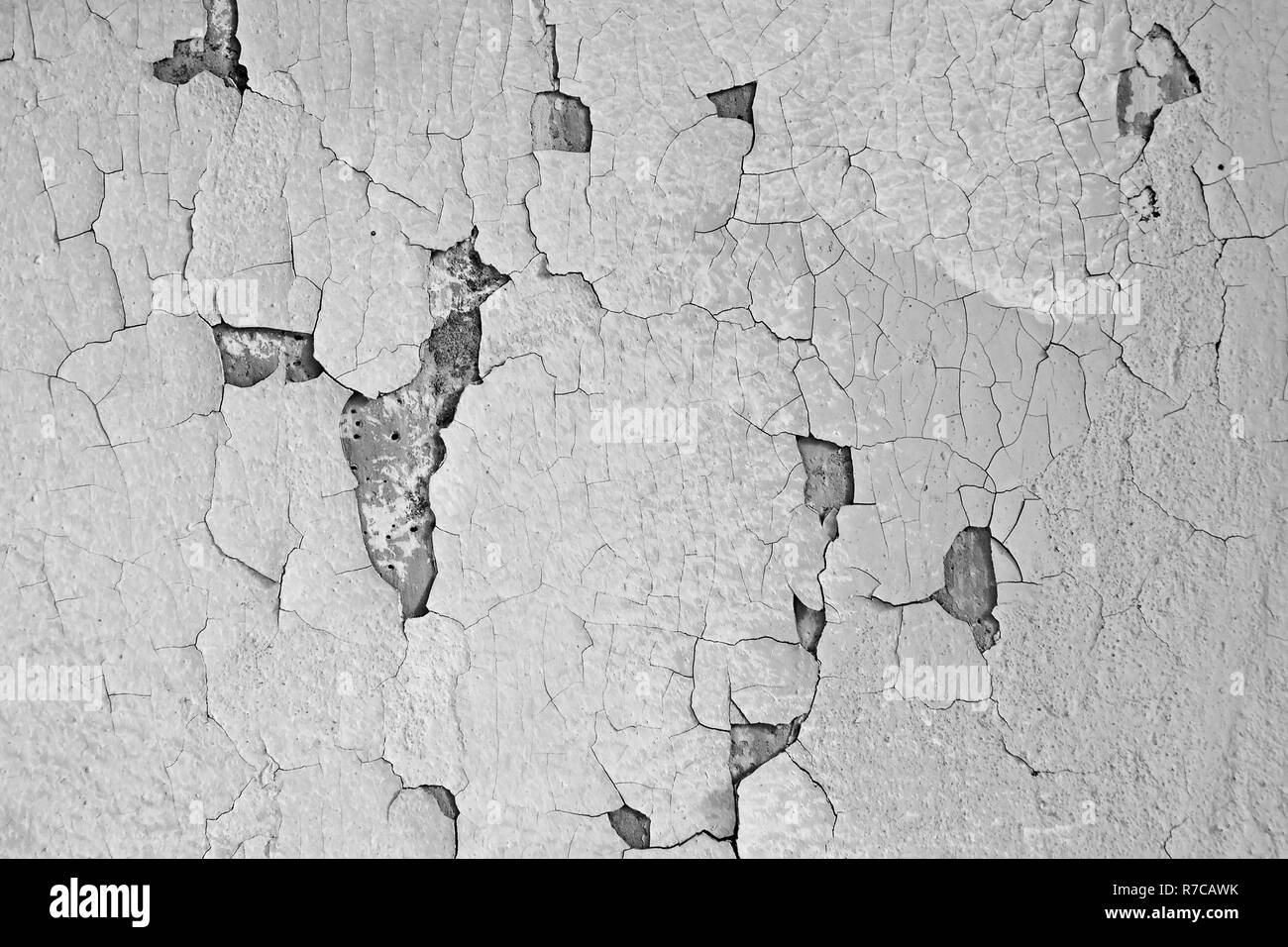 Texture of a gray cracked wall. Old paint can be seen through the