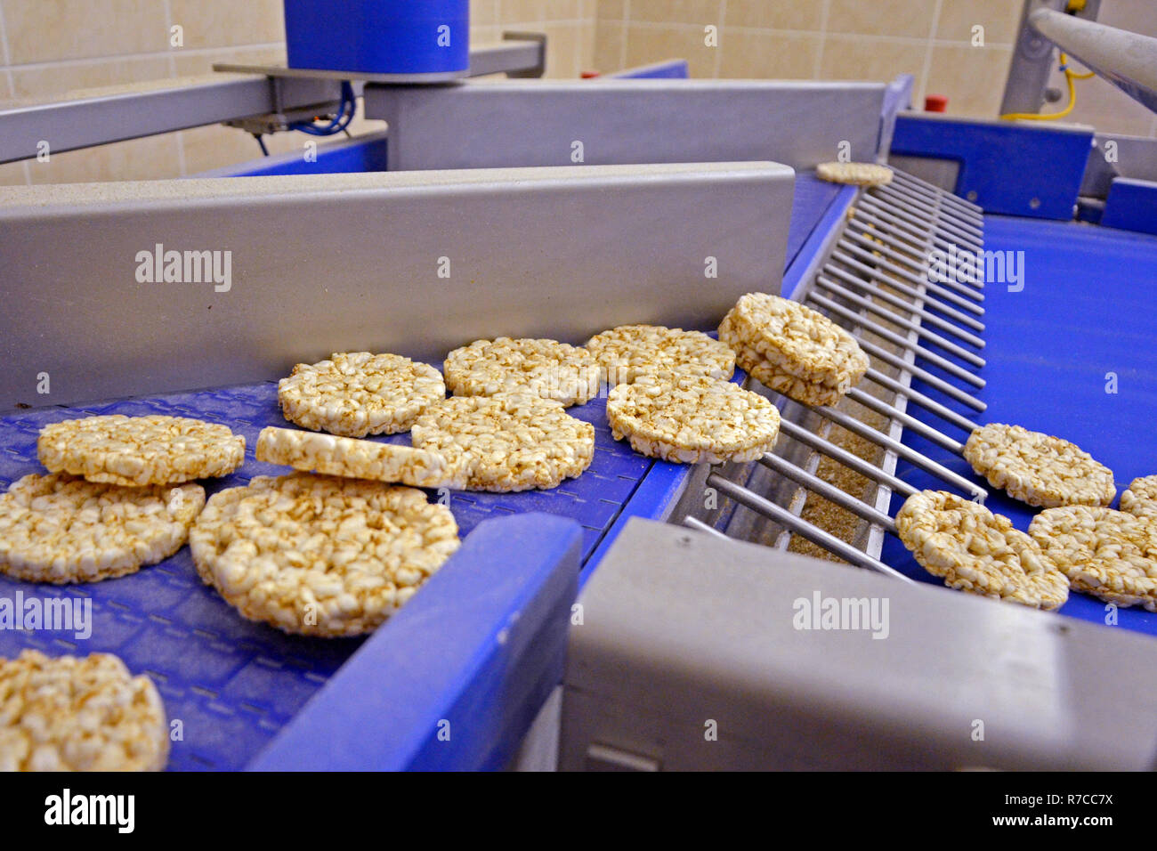 transportation from one process to another on food production line. Modern equipment food