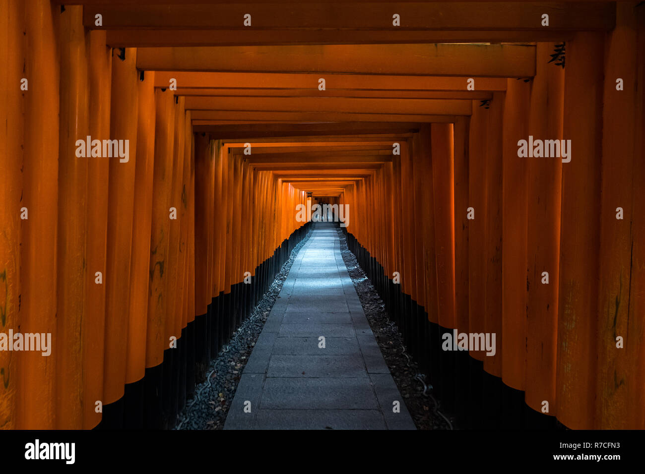 A walking path leads through a tunnel of torii gates at Fushimi Inari ...