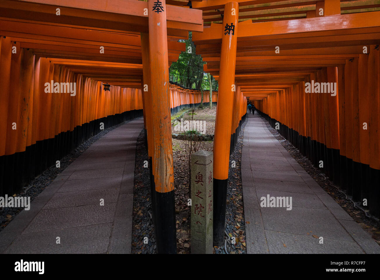 A walking path leads through a tunnel of torii gates at Fushimi Inari ...