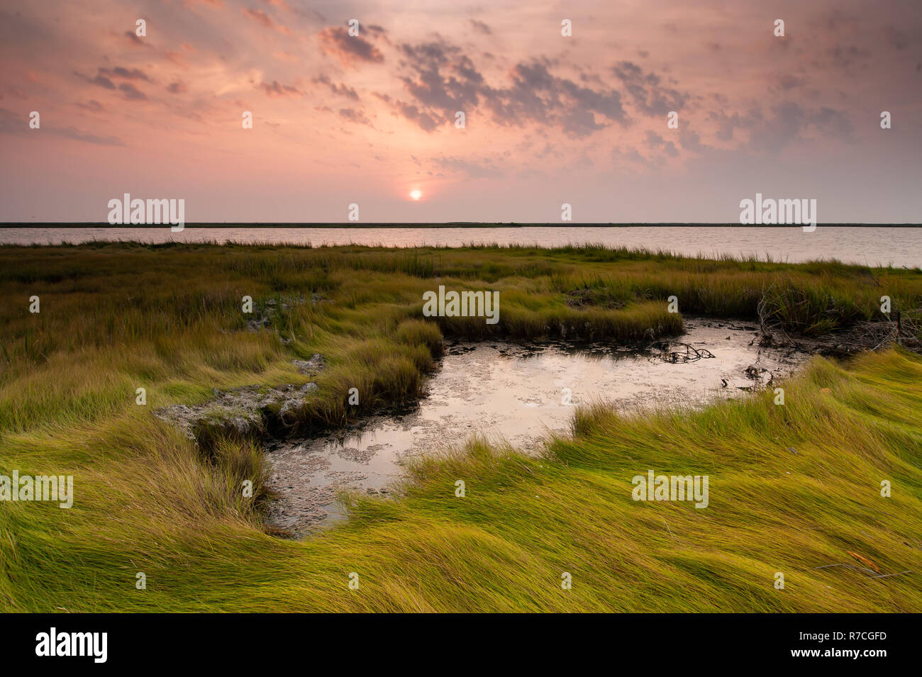 Sunrise on the tidal wetlands of the Chesapeake Bay in Maryland Stock Photo