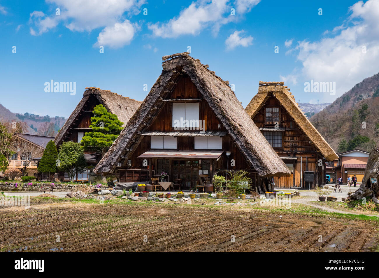 The famous traditional gassho-zukuri farmhouses in Shirakawa-go