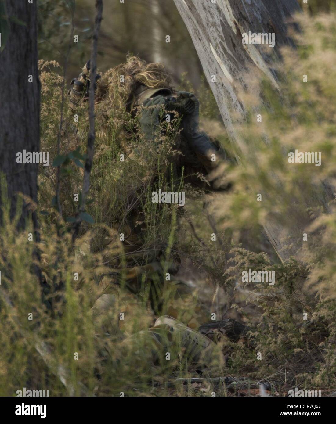 Australian Army Warrant Officer 2 Stuart Bailey spies a target, May 16