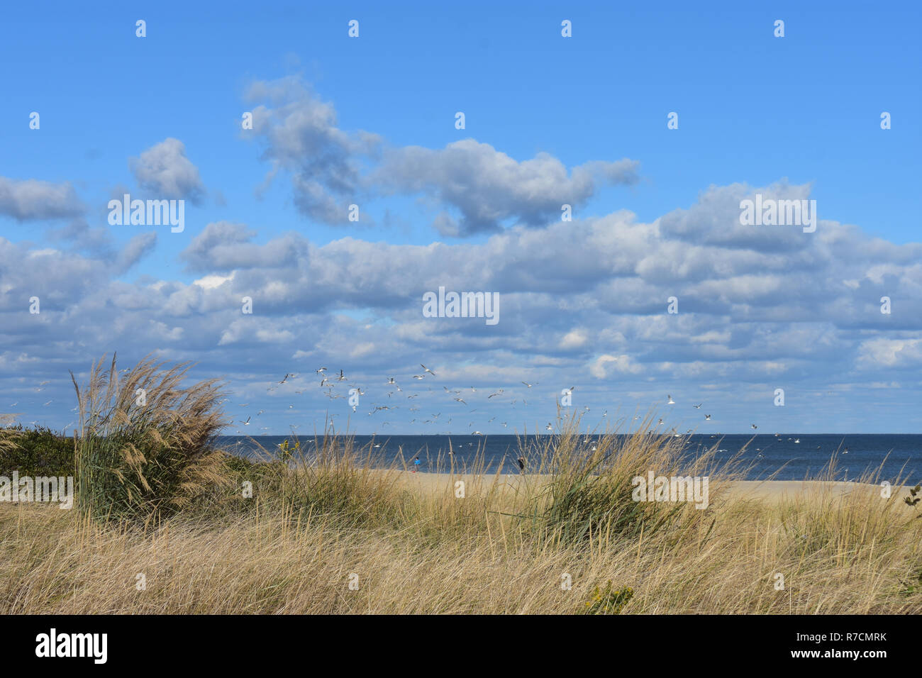 View of beach areas in Long Branch, New Jersey, In the autumn -5 Stock Photo
