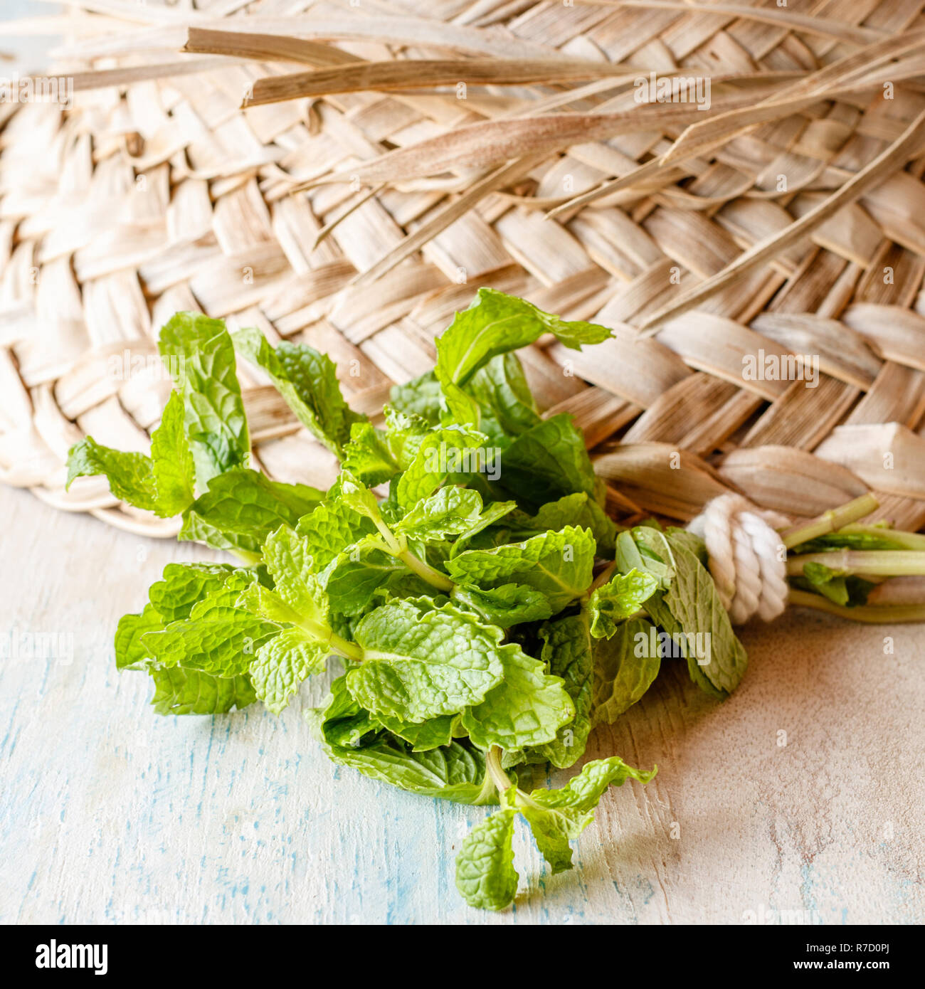 Fresh mint  and a straw hat on a wooden white and blue washed surface. Square image. Concept of gardening. Stock Photo