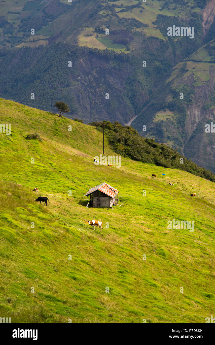 Ecuador farm hi-res stock photography and images - Alamy