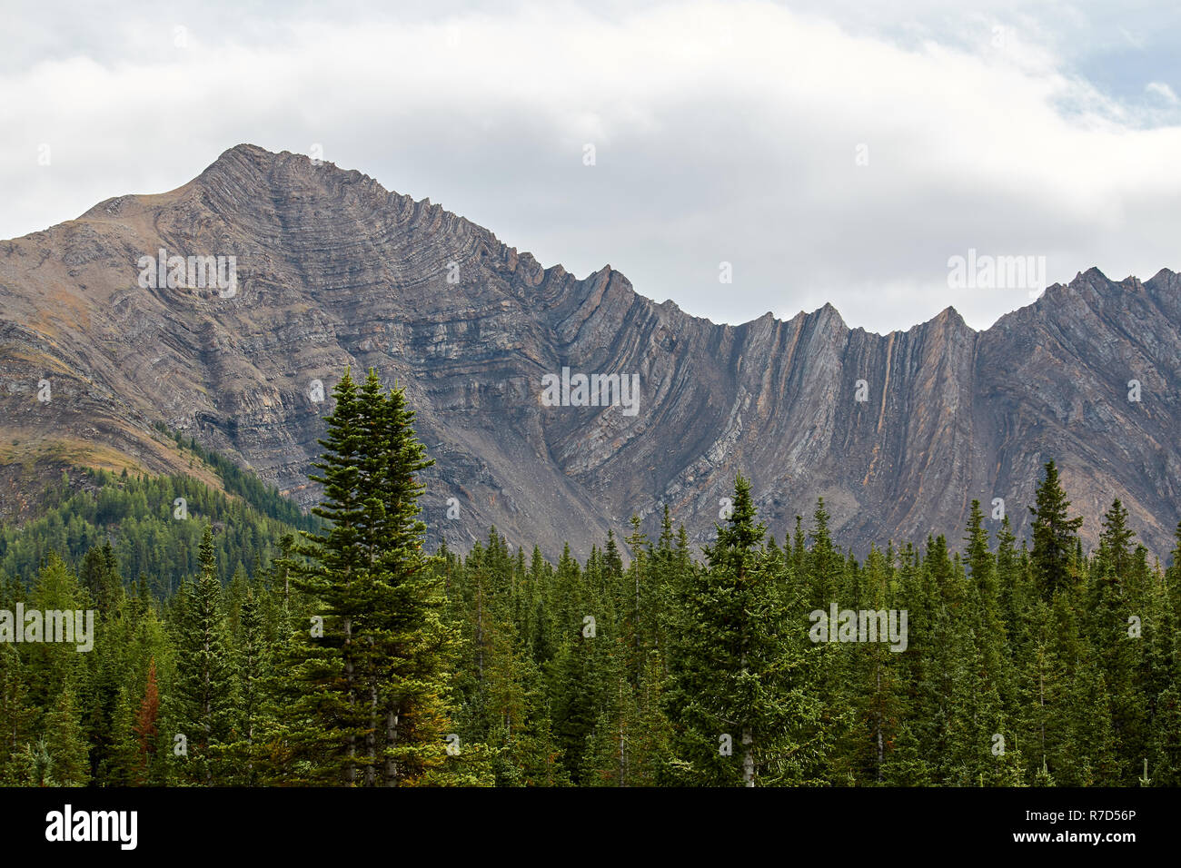 Kananaskis Country, Canada Stock Photo