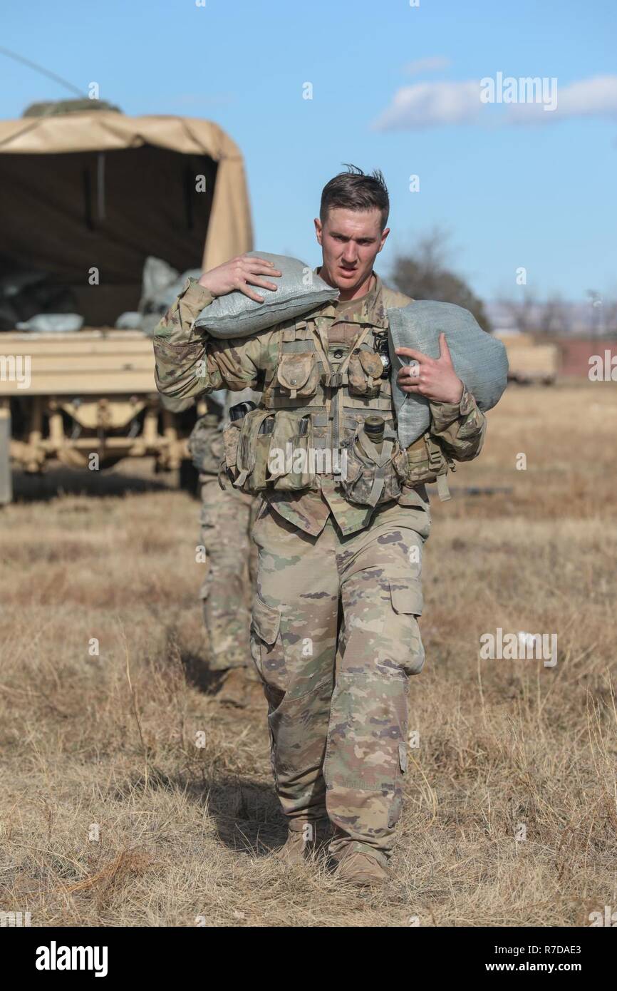 Levis 2025 battalion pants