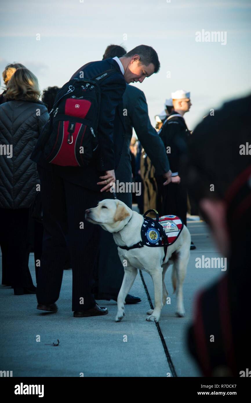 Sully, President George H. W. Bush's service dog arrives to Joint Base Andrews, Maryland, Dec. 03, 2018. Nearly 4,000 military and civilian personnel from across all branches of the U.S. armed forces, including reserve and National Guard components, provided ceremonial support during President George H.W. Bush's, the 41st President of the United States state funeral. (DoD Stock Photo