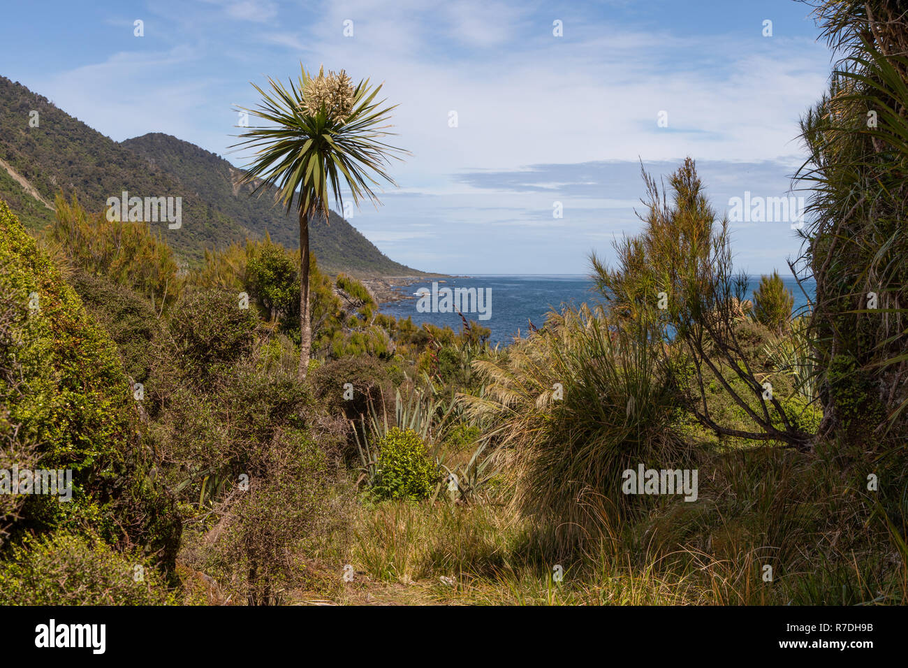West Coast landscape, Fiordland National Park, New Zealand Stock Photo