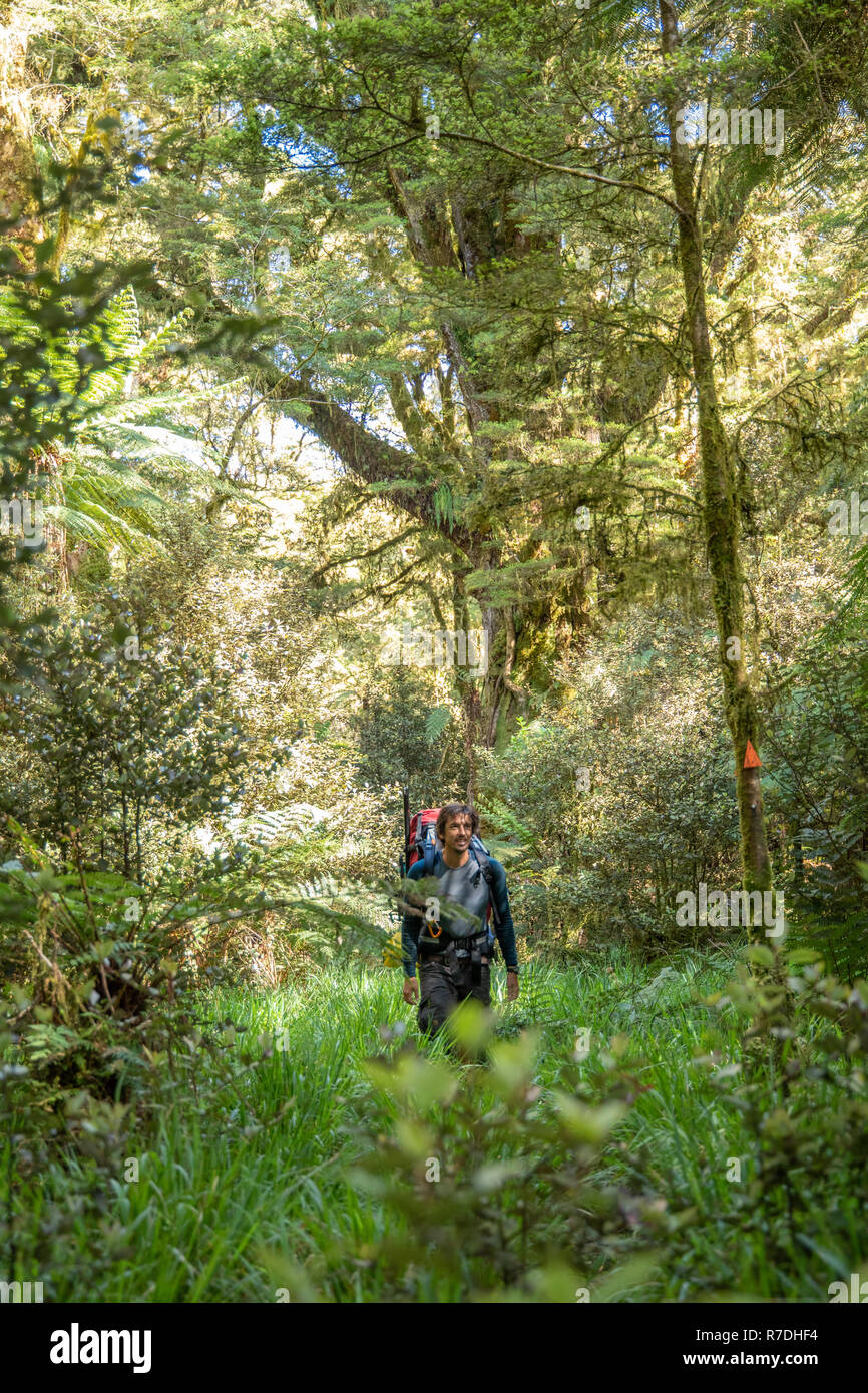 Hiking in Fiordland National Park, New Zealand Stock Photo